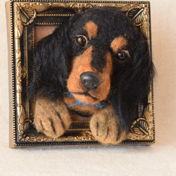 ミニチュアダックスフンド 額 羊毛フェルト 羊毛 犬 プレゼント 羊毛