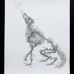 狼の骸骨プリント その他アート ArtByEmily 通販 13364311