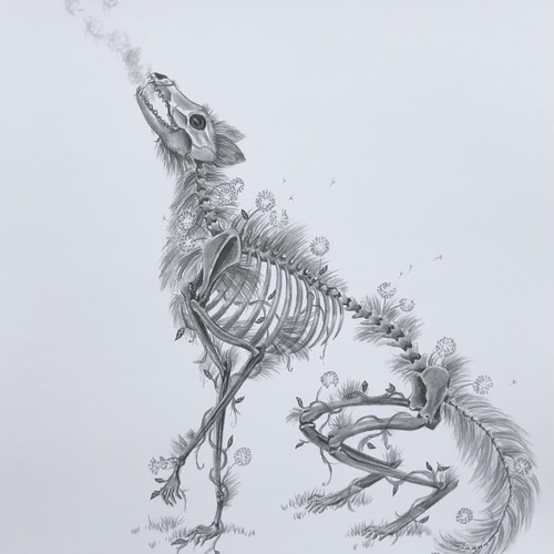 楽天市場】Skeleton グレイスケルトン リアルなガイコツの置物