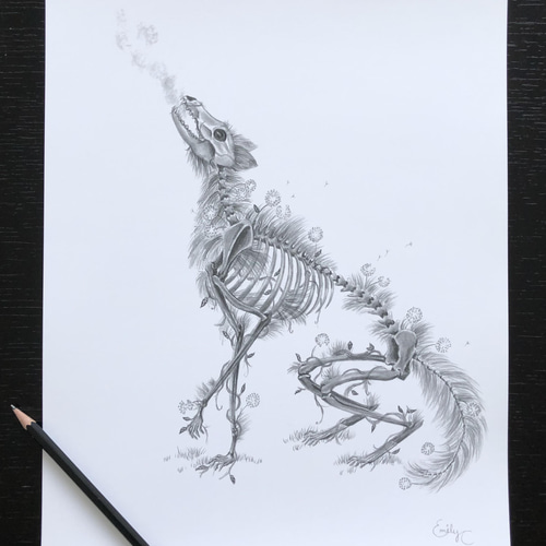 骸骨と女性の鉛筆画（フレーム付き） 狼の骸骨プリント その他アート ArtByEmily 通販 13364311