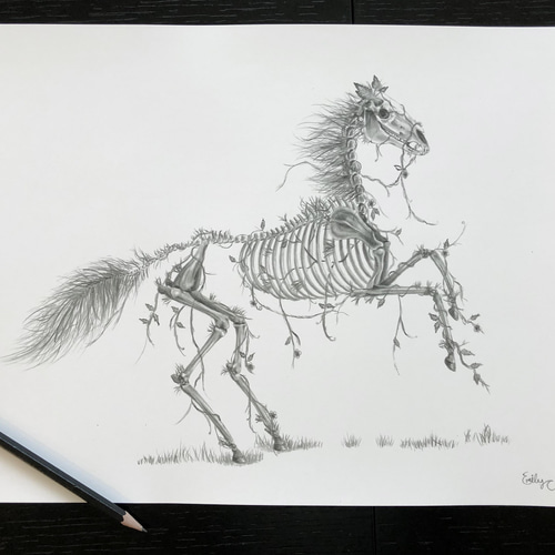 馬の骸骨プリント その他アート ArtByEmily 通販 13364332