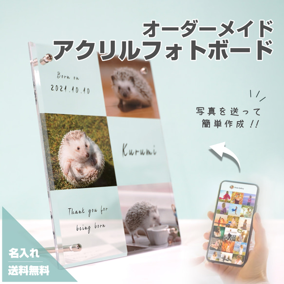 【 アクリルフォトボード B15 】ペット オリジナルグッズ 犬 猫 インスタ ハムスター うさぎ ハリネズミ 1枚目の画像