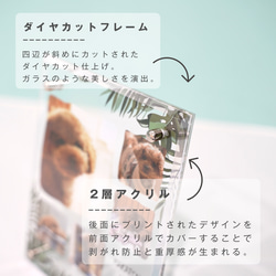 【 アクリルフォトボード B14 】ペット オリジナルグッズ 犬 猫Instagram インスタ ハムスター うさぎ 3枚目の画像