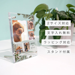 【 アクリルフォトボード B14 】ペット オリジナルグッズ 犬 猫Instagram インスタ ハムスター うさぎ 4枚目の画像