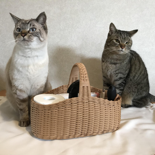 ♡かごワンコのオーダーページ✨