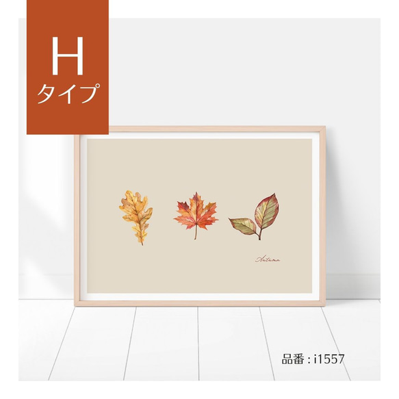 選べる！秋の紅葉のポスター 秋の収穫　かぼちゃや名言　水彩画　インテリアポスター 17枚目の画像