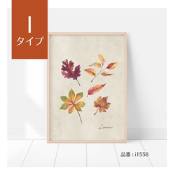 選べる！秋の紅葉のポスター 秋の収穫　かぼちゃや名言　水彩画　インテリアポスター 19枚目の画像