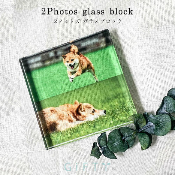 【C02】ガラスブロック 2photos デザイン (写真立て) ペット 家族 カップル 結婚 ウェディング 結婚祝い 1枚目の画像