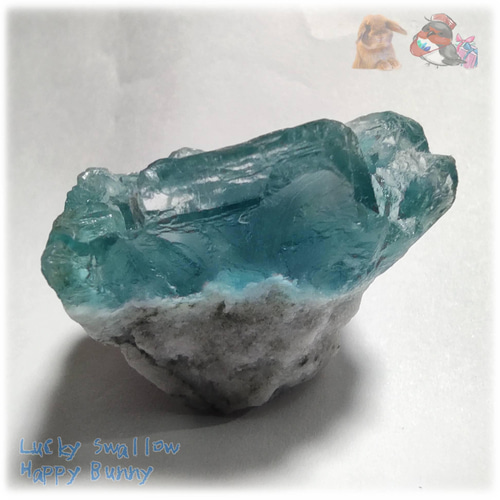 メーカー直売所 ◇ 秘蔵品 結晶 欠片 ブルーフローライト 特殊希少カラー 宝石質 彫刻+オブジェ