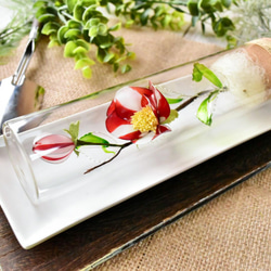 【植物標本 M】椿 紅白絞り Camellia 9枚目の画像
