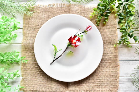 【植物標本 M】椿 紅白絞り Camellia 4枚目の画像