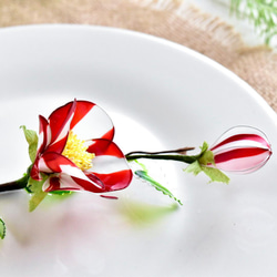 【植物標本 M】椿 紅白絞り Camellia 5枚目の画像