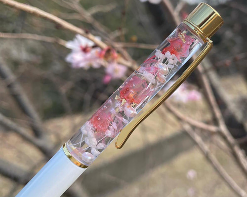満開に咲く桜♡名入れ可能【ハーバリウムボールペン】白 誕生日