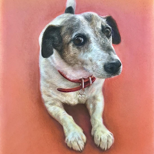 ペット肖像画オーダー A3サイズ ＃一点物＃オーダー＃ペット＃似顔絵