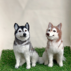 天使のそら★羊毛フェルト【シベリアンハスキー】【柴犬】犬　オーダー 天使のそら様専用羊毛フェルト【シベリアンハスキー】【柴犬】犬