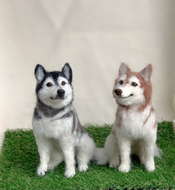 羊毛フェルト　シベリアンハスキー シベリアンハスキーさん〈24072〉 羊毛フェルト 羊毛わんこ 福や