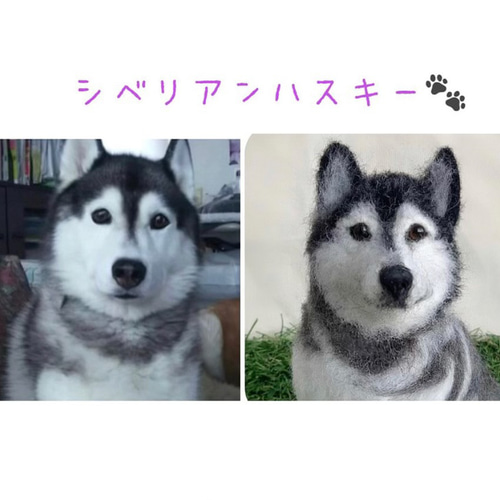 オーダー 再現♡シベリアンハスキー♡うちの子みたい♡世界で