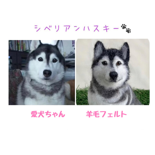 羊毛フェルト オーダー 「リアルで可愛いワンちゃん」シベリアンハスキー うちの子 羊毛フェルト オーダー 「リアルで可愛いワンちゃん」シベリアン