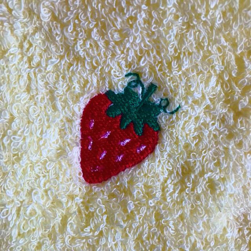お名前刺繍 ベビー・キッズ ミニタオルハンカチ ＊ トウシューズ 