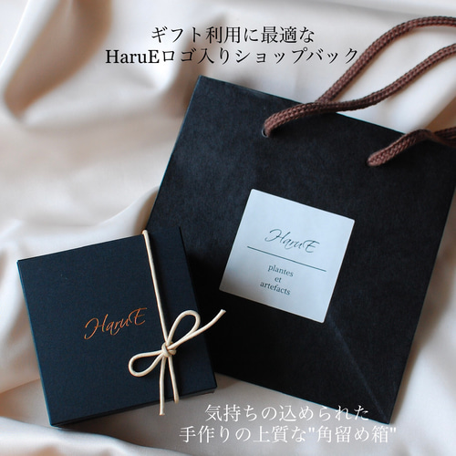 桜✴︎ネクタイピン-Botanical- タイピン・カフス HaruE お花