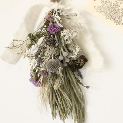 新芽の美しいユーカリ香るプロテアのコロンとしたナチュラルスワッグ 新芽の美しいユーカリ香るプロテアのコロンとしたナチュラルスワッグ