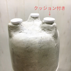 精霊が宿る木　ミニサイズ ガジュマル　フット付き セメントポット 8枚目の画像