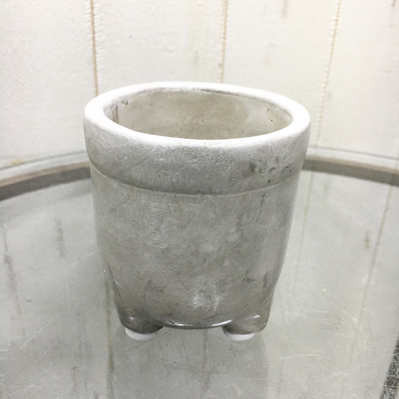 精霊が宿る木　ミニサイズ ガジュマル　フット付き セメントポット 5枚目の画像