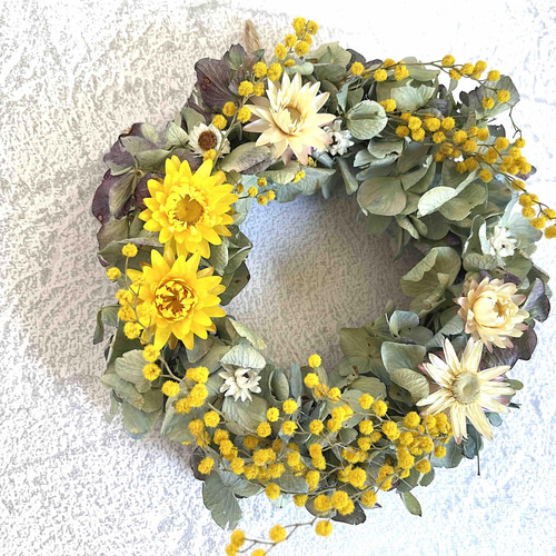 ミモザのコンパクトリース ドライフラワー Flower Studio 通販