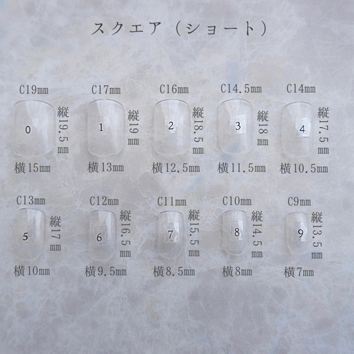 ネイルチップサイズ表 その他ファッション雑貨 Chanter 通販 13369080