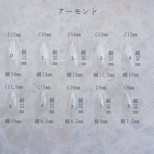 ネイルチップサイズ表 その他ファッション雑貨 Chanter 通販 13369080