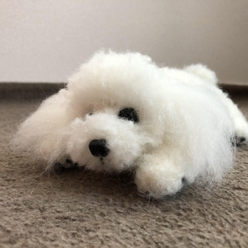 おとママ羊毛フェルト ホワイトトイプードル 伏せのポーズ マルチーズ 
