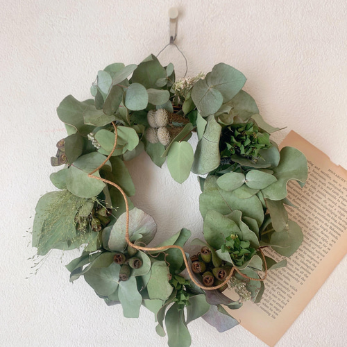 実ものたっぷりグリーンを楽しむリースドライアンドラ