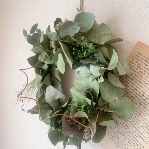 ドライフラワー ユーカリのリーフと実のリース リース 葉つみ 通販