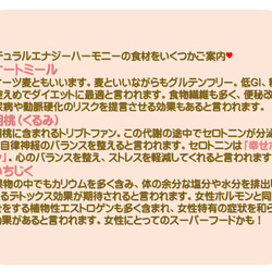 小腹がすいた時の強い味方♥砂糖不使用グルテンフリー♥ポスト便送料込♥ナチュラルエナジーハーモニー（カルテット） 9枚目の画像