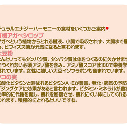 小腹がすいた時の強い味方♥砂糖不使用グルテンフリー♥ポスト便送料込♥ナチュラルエナジーハーモニー（カルテット） 11枚目の画像