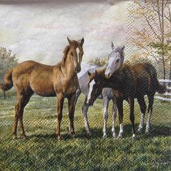 馬柄　ペーパーナプキン各柄20枚　計40枚セット　うま・ウマ・ 紙ナプキン 乗馬 5枚目の画像