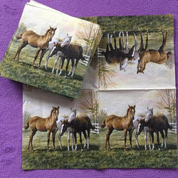 馬柄　ペーパーナプキン各柄20枚　計40枚セット　うま・ウマ・ 紙ナプキン 乗馬 6枚目の画像