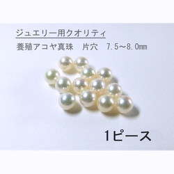 あこやパール・あこや真珠 パール のおすすめ人気通販｜Creema