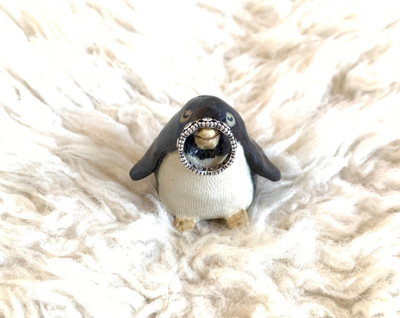 おやすみペンギン 5枚目の画像