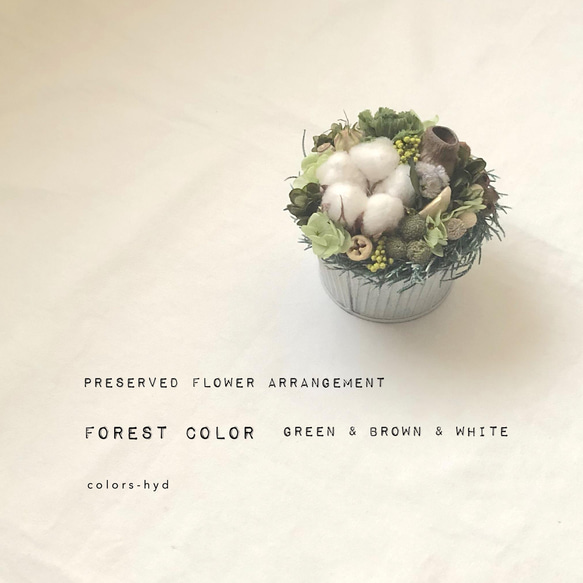 ブリキのストライプカップ=プリザーブドフラワーアレンジメント=森の色=自然派さんへのプレゼントに 3枚目の画像