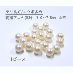 テリ良好/シワ・エクボ多め】7.0～7.5mm珠 アコヤ真珠ルース 1