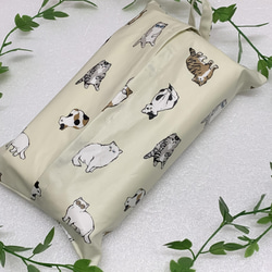 とても便利な両面タイプ♪ポケットティッシュが2個入るケース○補充