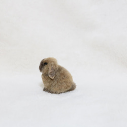 羊毛フェルト　小さな小さなうさぎさん ミニチュア  ホーランドロップイヤー　トート　トータス 6枚目の画像