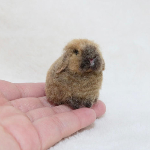 羊毛フェルト 小さな小さなうさぎさん ミニチュア ホーラン