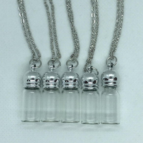 5個セット　New ハーバリウムネックレス  チャーム　瓶 3枚目の画像
