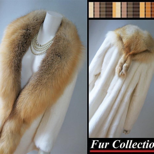 フレンチシックな雰囲気が漂う☆ゴールデンアイランドフォックス