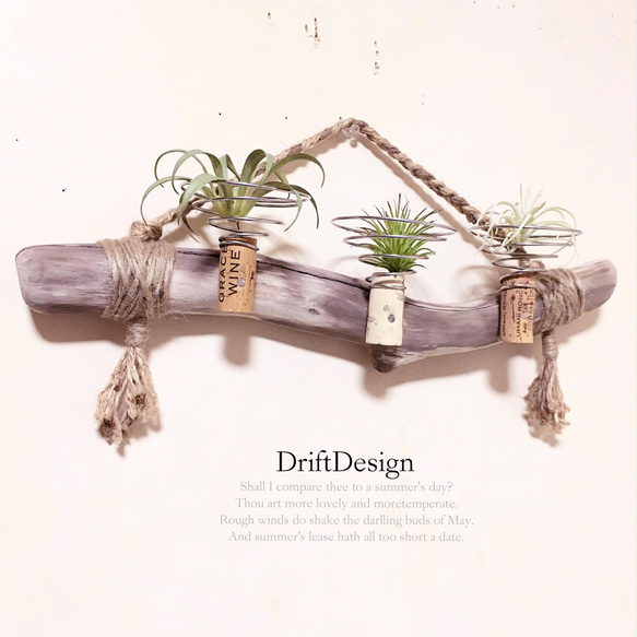 〜Drift Design〜　味わい流木のお洒落な多用途３連コルクホルダー　エアプランツ　造花　植物　インテリア 1枚目の画像