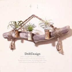 〜Drift Design〜　味わい流木のお洒落な多用途３連コルクホルダー　エアプランツ　造花　植物　インテリア 2枚目の画像