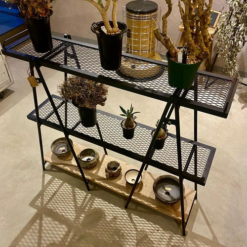 アイアンシェルフ(L)アイアンラック アイアン家具 塊根植物 アイアンシェルフ(L)アイアンラック アイアン家具 塊根植物