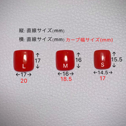 《SALE価格¥1700→¥1550》FA121★シンプルアニマル柄フットネイルチップ（親指のみ） 6枚目の画像